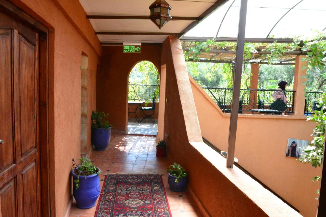 Auberge Ayam Atlas- Pool 10Mn Away 乌鲁卡 外观 照片